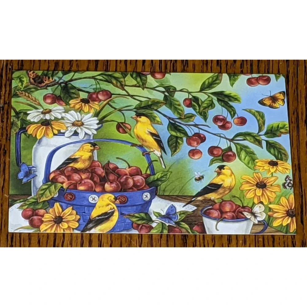 Blank Notes Notecards Set 12 Birds Flowers Fruit Seasons Jane Maday 6 x 4
